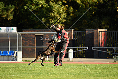 Balin von Moria`s Tor